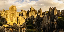 Kunming City Sightseeing Tour