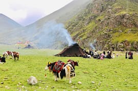 Tibet day tour