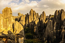 Kunming City Sightseeing Tour