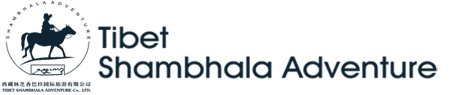 Header Logo